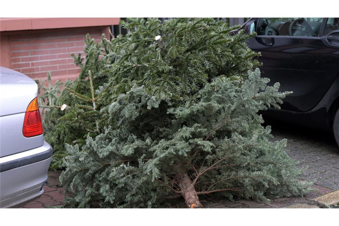 Der Weihnachtsbaum traf eine 88 Jahre alte Frau. (Symbolbild)