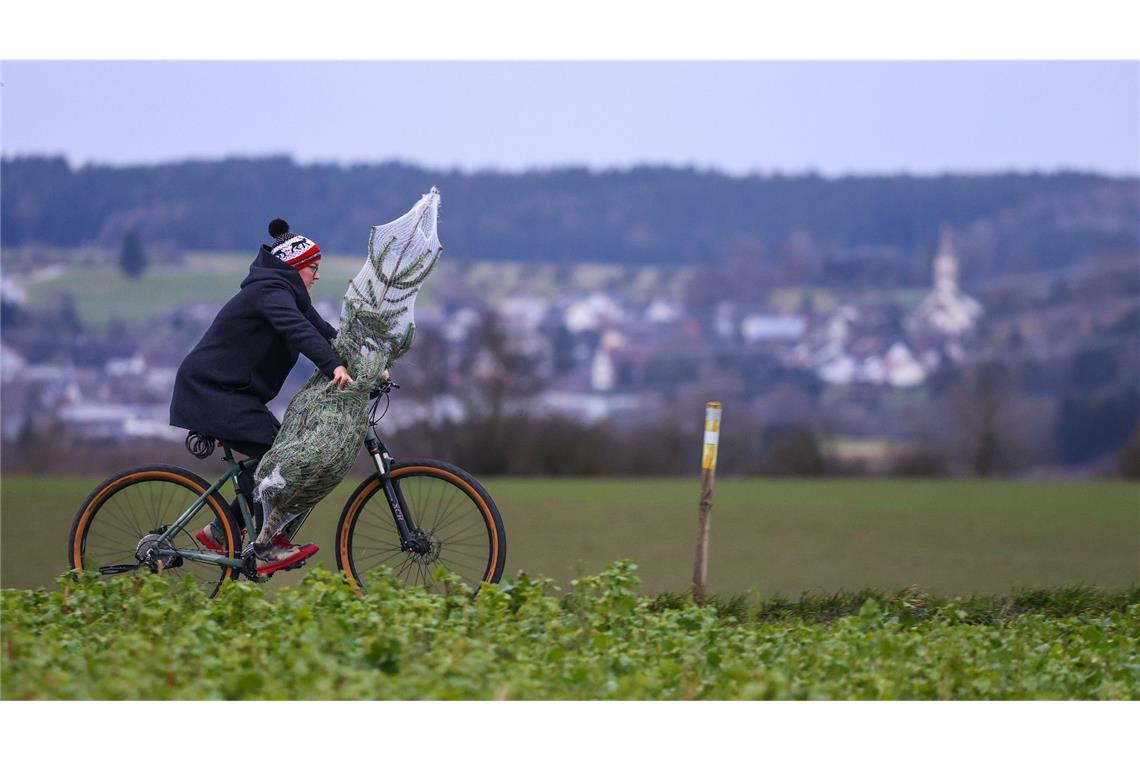 Der Weihnachtsbaumkauf steht vor der Tür.