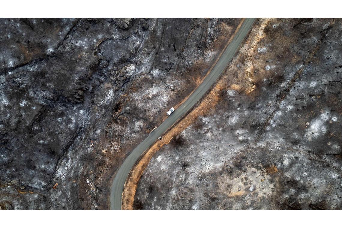 Der weltweite Schaden durch Flächenbrände hat seit 2015 stark zugenommen. (Archivbild)