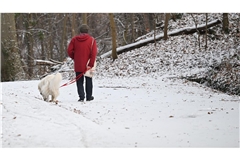 Der Winter bleibt um den Jahreswechsel unbeständig. (Archivbild)