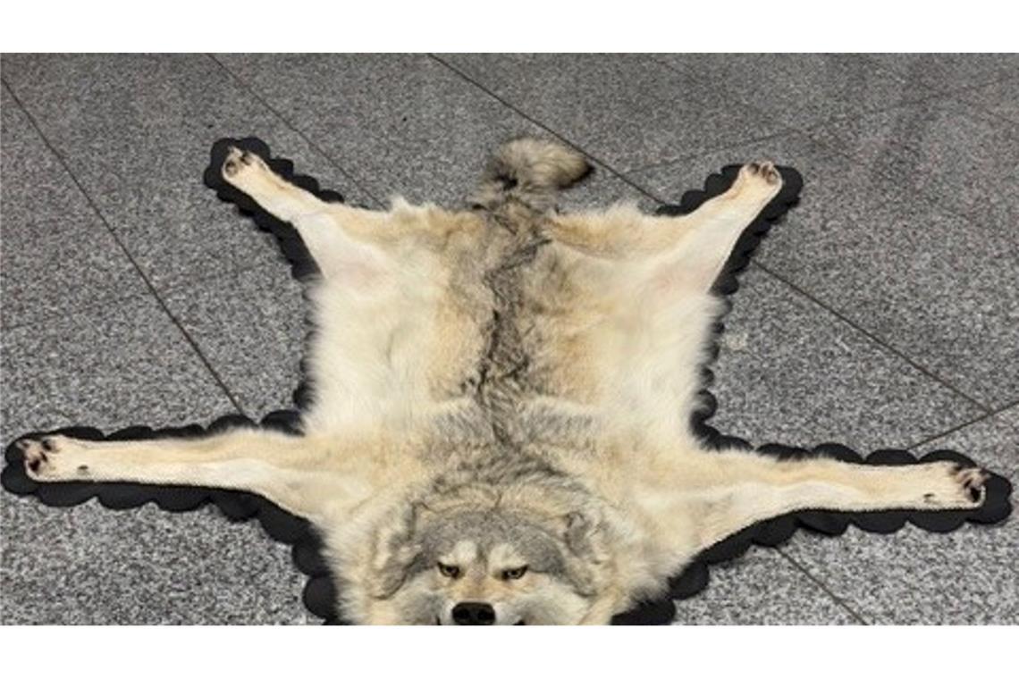 Der Zoll am Frankfurter Flughafen entdeckte ein Wolfsfell im Gepäck eines Reisenden. (Handout)