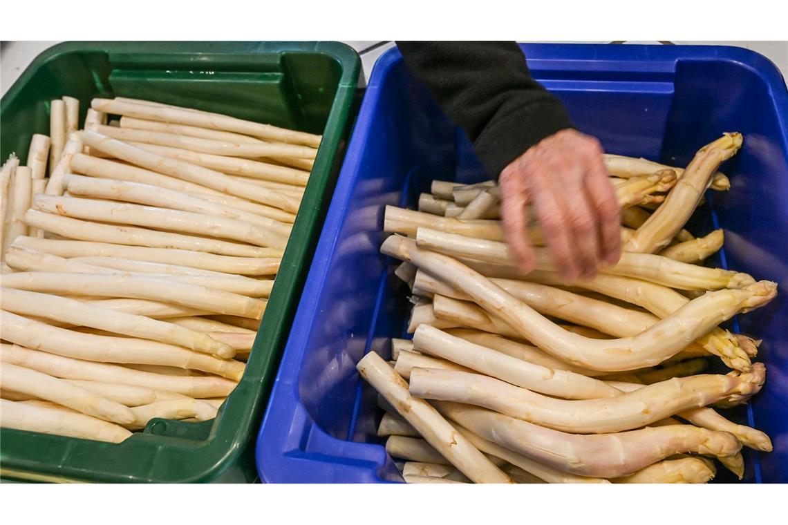 Derzeit bekommen Verbraucher Spargel so günstig wie sonst nicht in der Saison. (Archivbild)