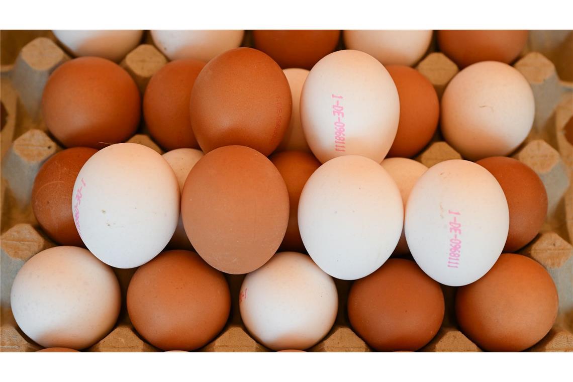USA bitten Länder in Europa um Eier Derzeit in den USA ein rares Gut: Eier.