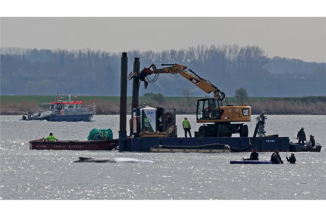 Detaillierte Infos zum Fortschritt der Rettungsaktion gibt es von den Initiatoren nicht.