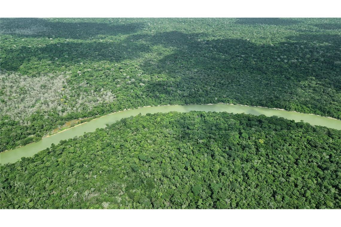 Deutschland gibt viel Geld für einen neuen Tropenwaldfonds.