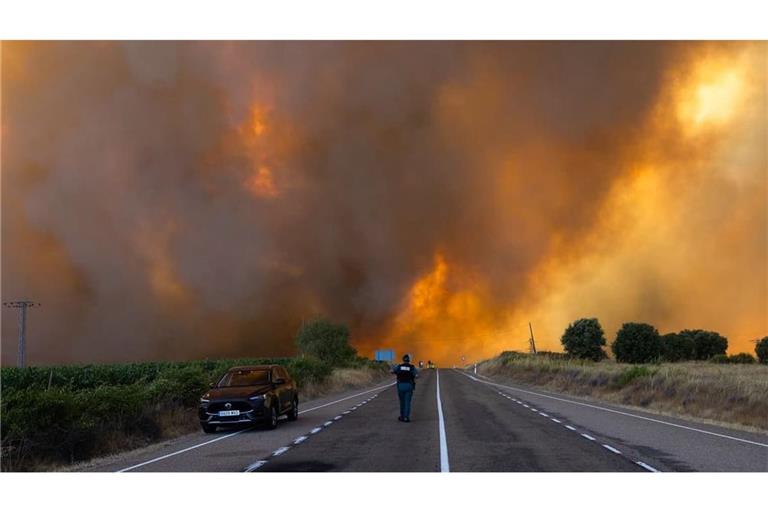 Dichter Rauch ist während eines Waldbrandes am Rande einer Landstraße im Naturpark Arribes del Duero im spanischen Fermoselle zu sehen.