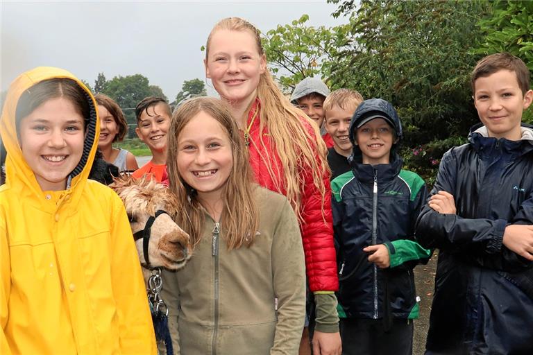 Die 6a bei ihrem Wandertag, der auch einen Besuch auf dem Alpakahof von Familie Haas in Hinterbüchelberg mit einschloss. Fotos: privat