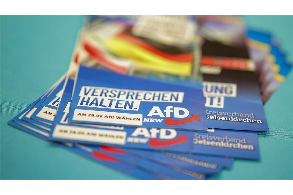 Die AfD brachte keinen ihrer Kandidaten in den Stichwahlen durch.