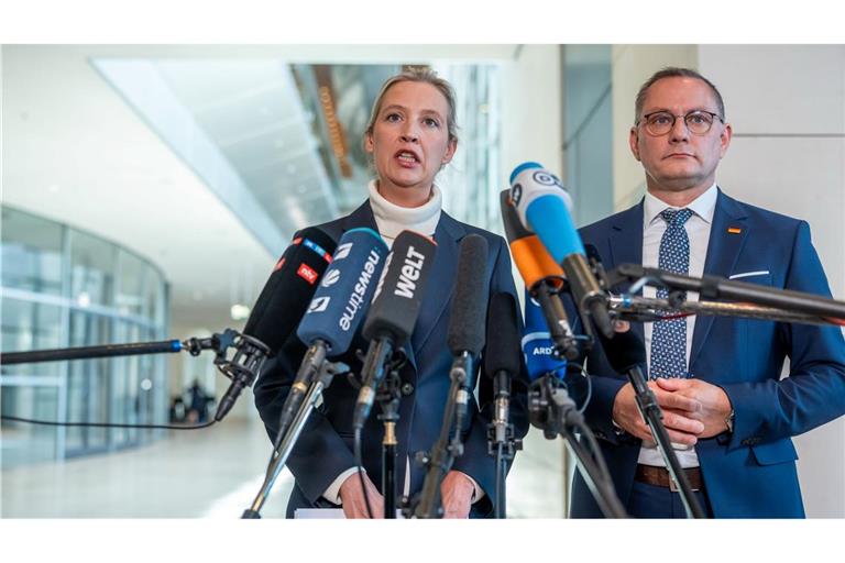 Die AfD-Chefs Alice Weidel und Tino Chrupalla kritisieren "Spielchen" der anderen Parteien.