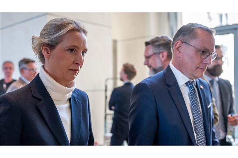 Die AfD-Chefs Alice Weidel und Tino Chrupalla sind enttäuscht und kritisieren „Spielchen“ der anderen Parteien.