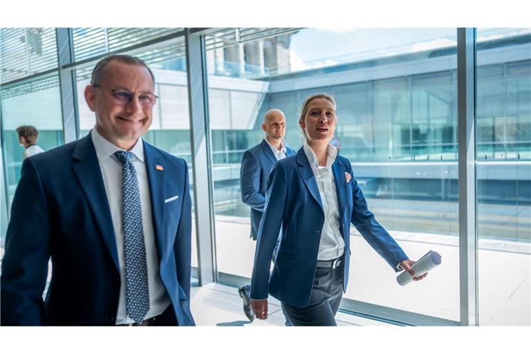 Die AfD-Chefs Tino Chrupalla (l.) und Alice Weidel können sich über einen spürbaren Anstieg ihrer Monatseinkünfte freuen. (Archivbild)