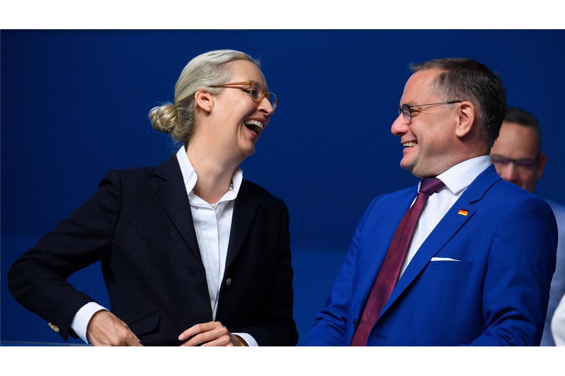 Scholz nennt Chialo "Hofnarr" - "nicht rassistisch" gemeint Die AfD findet ihre Wähler laut einer Analyse der Universität Leipzig vor allem unter Menschen mit mittlerem Einkommen und Arbeitslosen (Archivfoto).