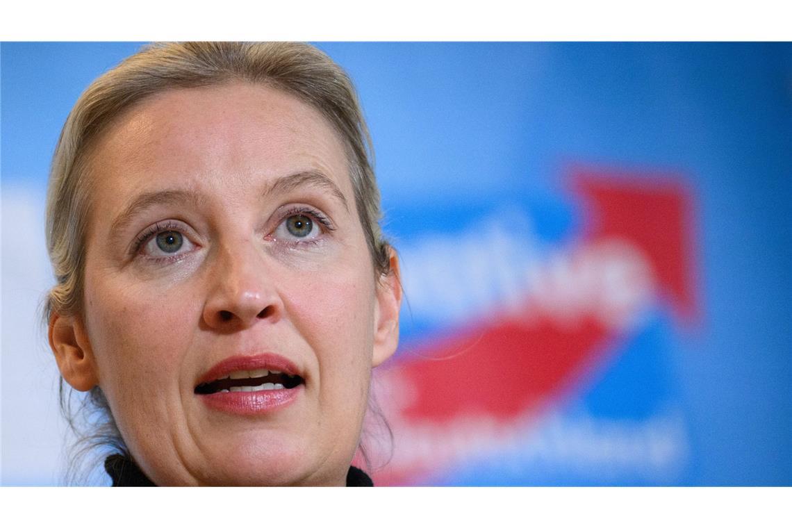 Das sind die Großspender der AfD seit 2021 Die AfD hat im laufenden Wahlkampf Spenden in Höhe von insgesamt 4,3 Millionen Euro erhalten.