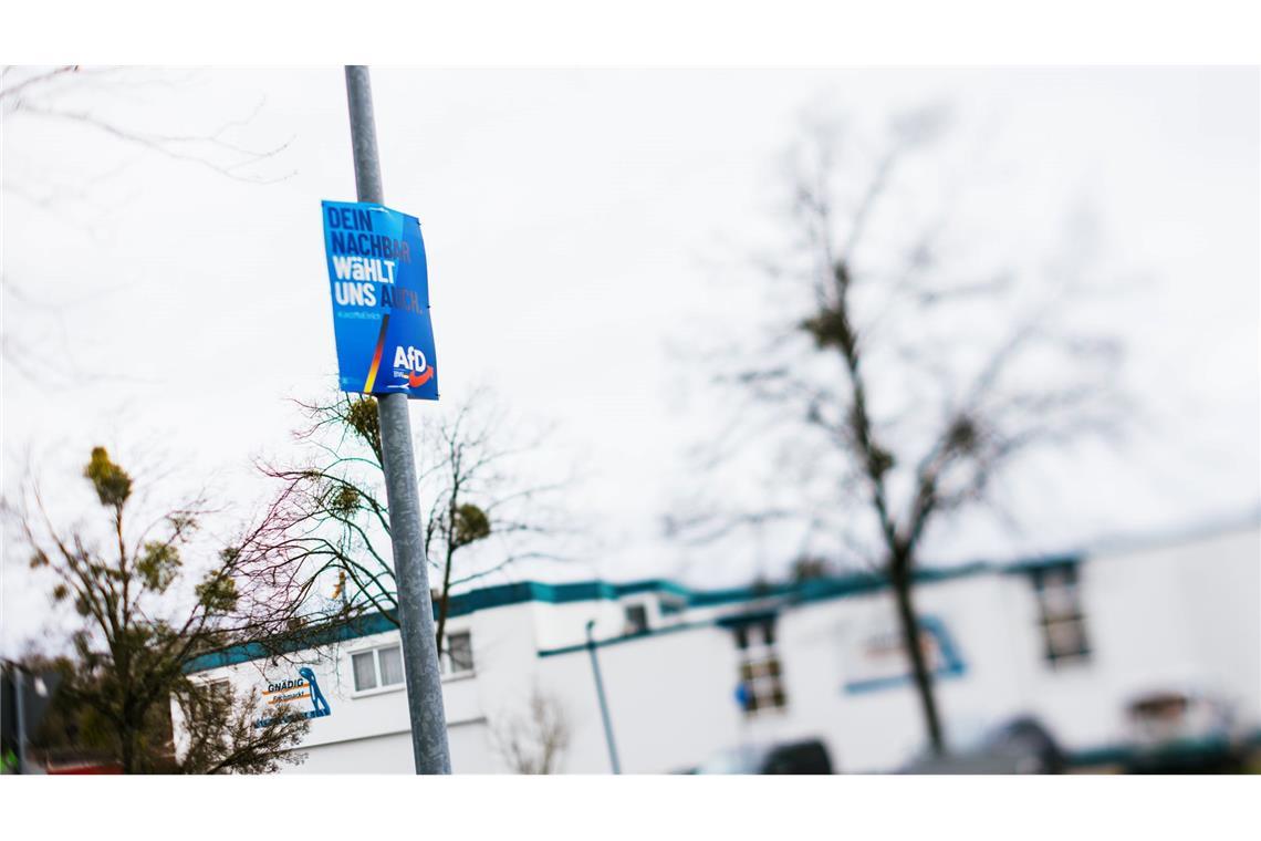 Die AfD hat in mehreren Landesteilen hohe Ergebnisse eingefahren. (Archivbild)