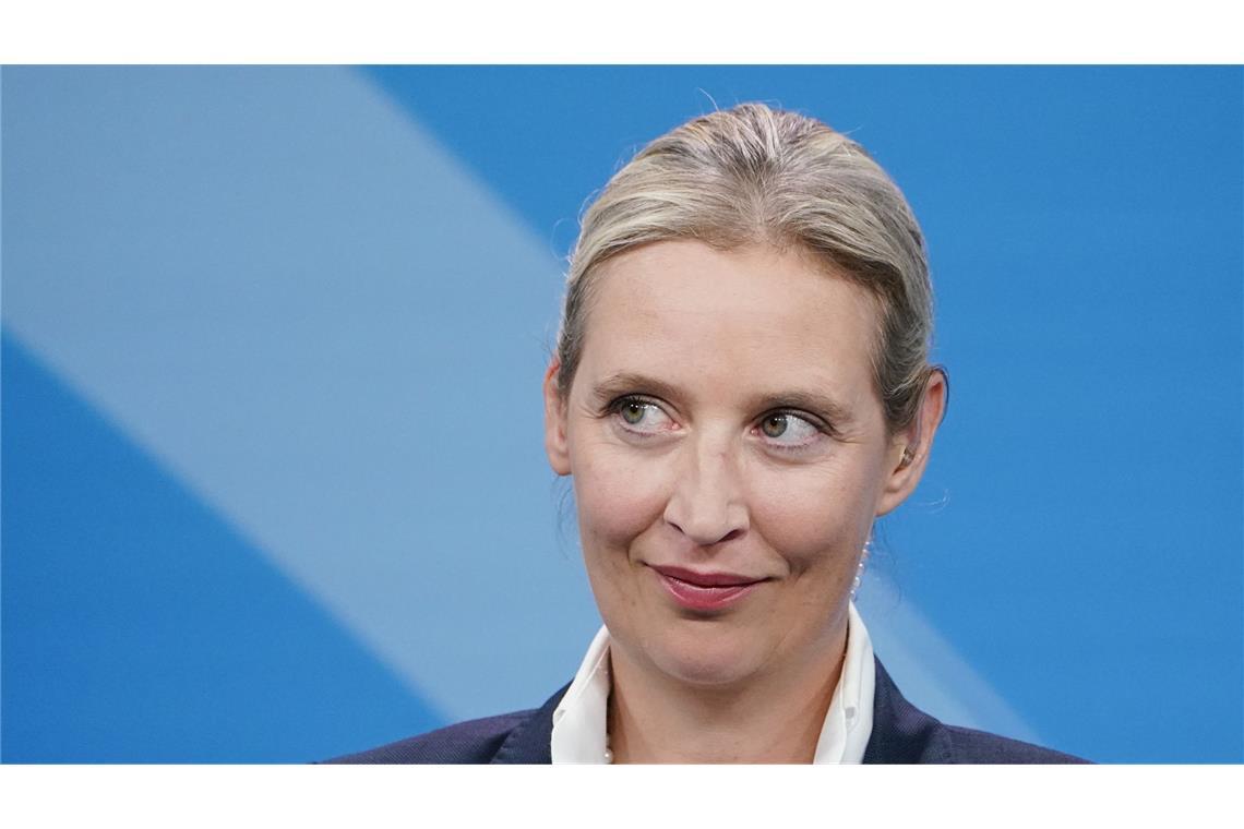 2,3 Millionen Euro: AfD meldet weitere Großspende Die AfD hatte bereits in den vergangenen Tagen eine Großspende von 1,5 Millionen Euro und eine von 999.900 Euro gemeldet.