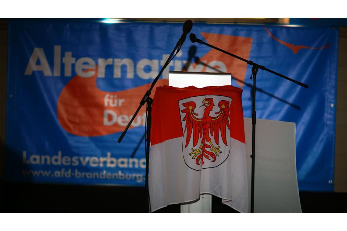 Landes-AfD seit April als gesichert rechtsextrem eingestuft Die AfD in Brandenburg wird seit April als gesichert rechtsextrem eingestuft. (Archivbild)