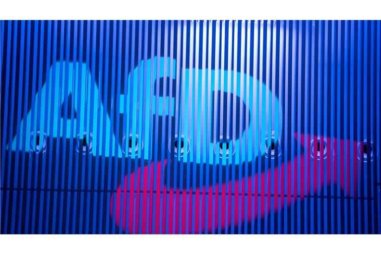 Die AfD Pforzheim muss 20 Wahlplakate wieder abhängen. (Symbolbild)