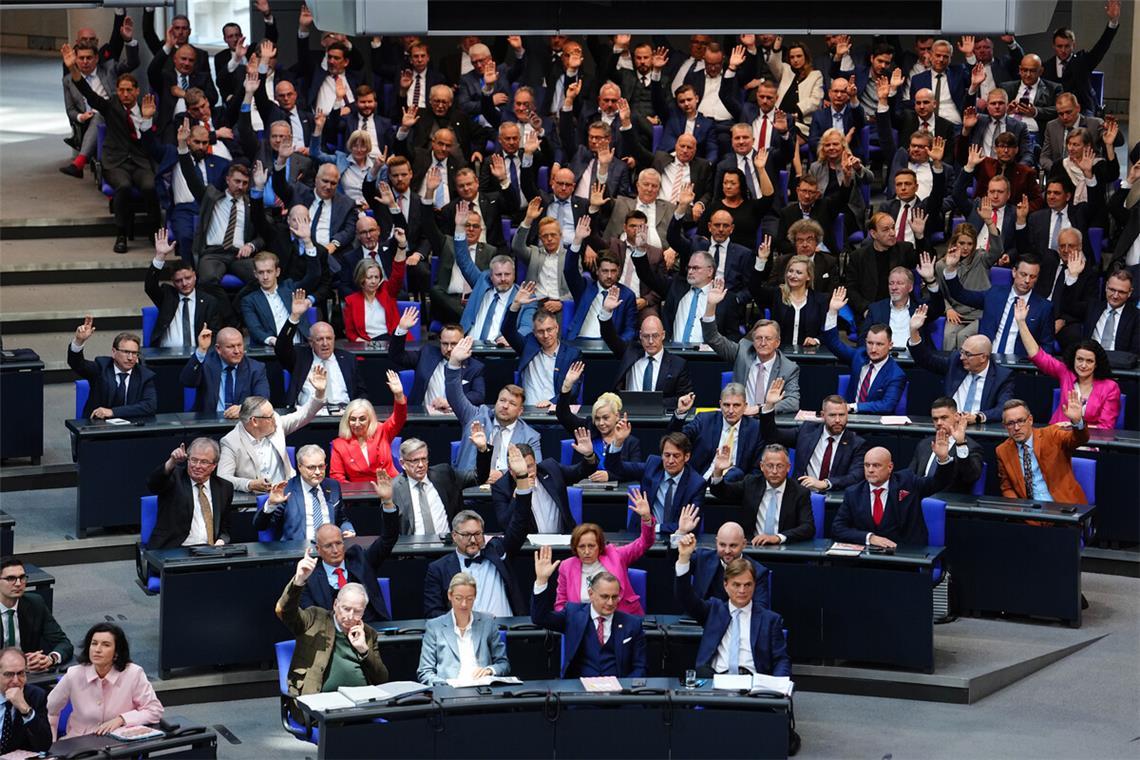 Kommentar: So benimmt sich kein Opfer Die AfD sitzt inzwischen als zweitgrößte Fraktion im Bundestag.