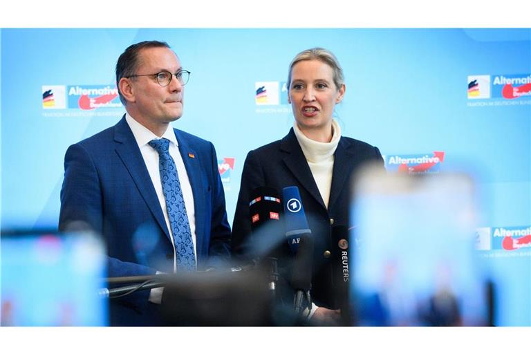 Die AfD-Spitze kündigte an, sich gegen die Einstufung des Verfassungsschutzes wehren zu wollen.