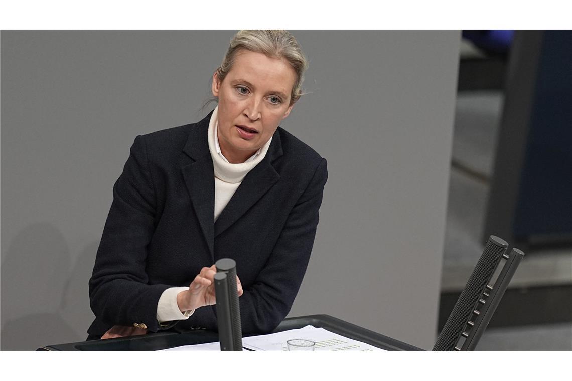 Migrations-Abstimmung führt zu Eklat – AfD feiert Die AfD-Vorsitzende, Alice Weidel, attackierte in der Debatte auch Unionsfraktionschef Friedrich Merz (CDU).