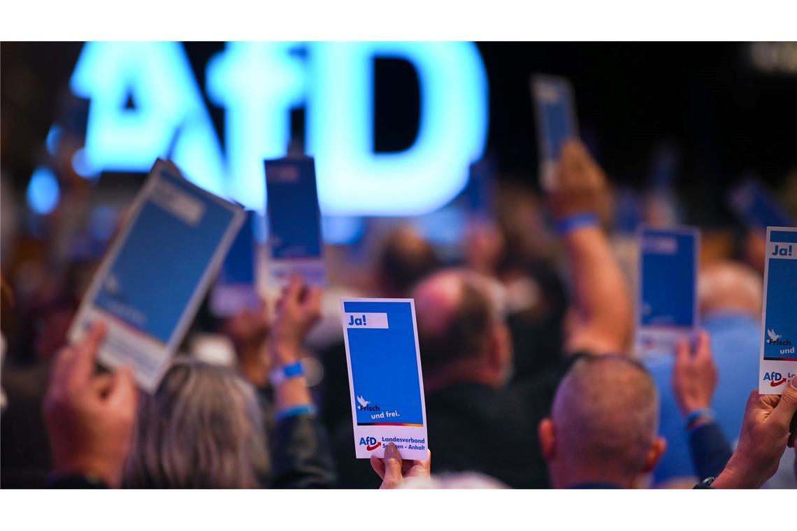 Diskussion über künftiges Logo der AfD-Parteijugend Die AfD will ihre neue Jugendorganisation stärker an sich binden. (Archivbild)