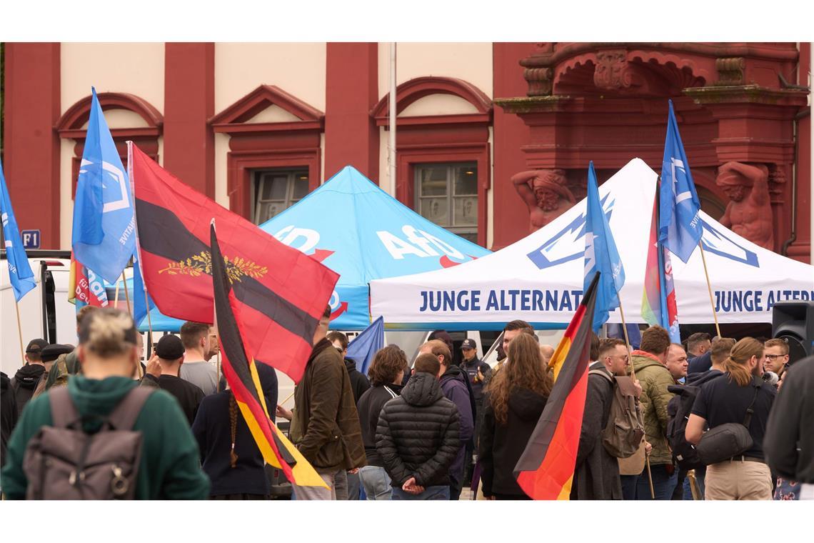 AfD-Spitze für Trennung von "Junger Alternative" Die AfD will sich von ihrer Nachwuchsorganisation "Junge Alternative" trennen. (Archivbild)