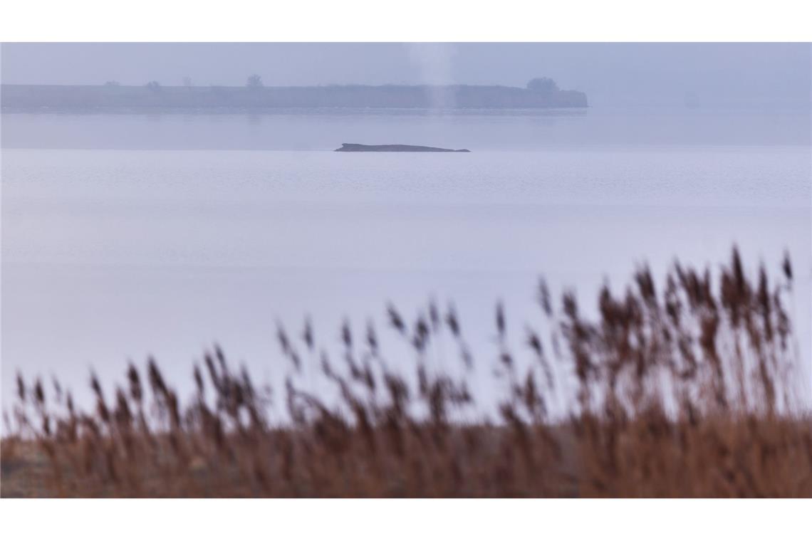 Die Atemfrequenz des Wals war laut Fachleuten zuletzt unregelmäßig.