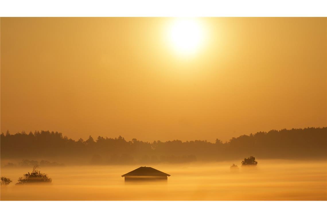 Bilder des Tages Die aufgehende Sonne färbt den Nebel rund um eine Holzscheune in Bad Buchau gelb ein.