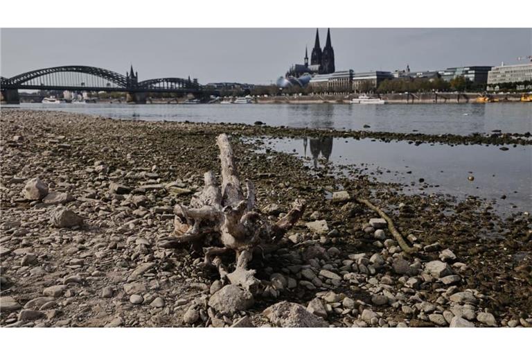 Die außerordentlich niedrigen Pegelstände am Rhein erschweren den Schiffsverkehr weiter.