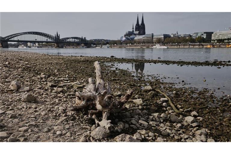 Die außerordentlich niedrigen Pegelstände am Rhein (hier bei Köln) schränken den Schiffsverkehr weiter ein.
