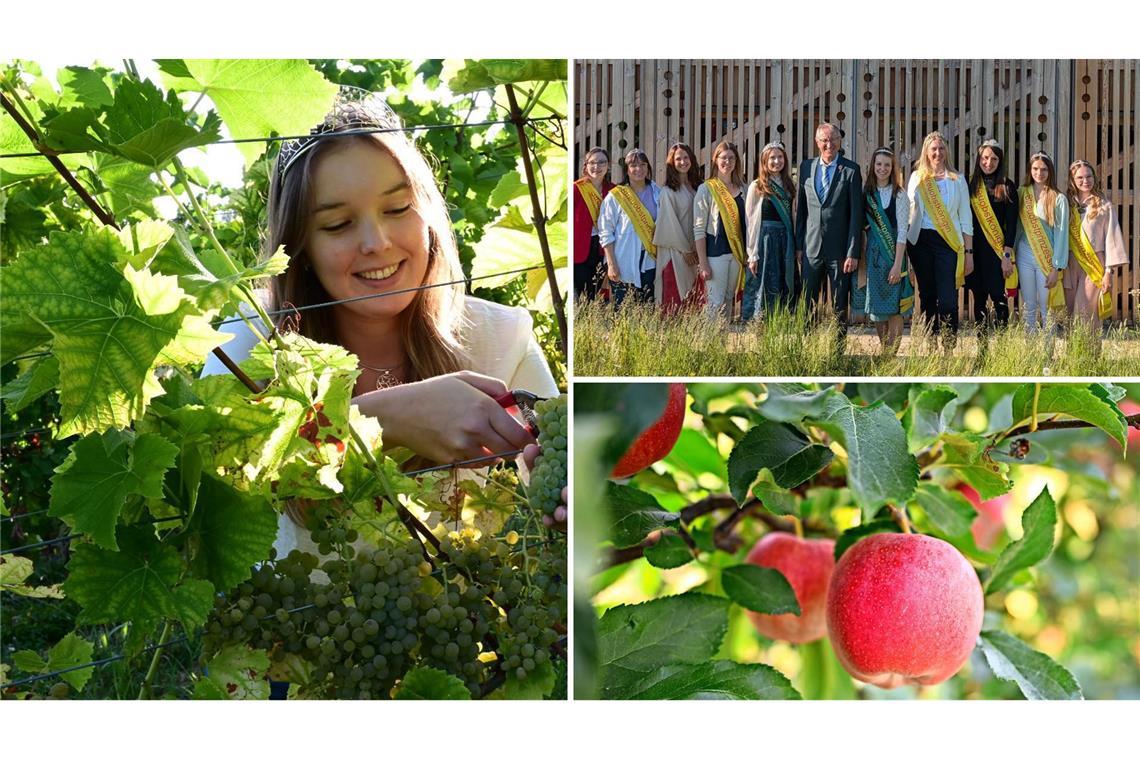 Die badische Weinkönigin macht sich im Weinberg nützlich, aber auch Streuobstwiesen haben längst monarchische Gesichter.