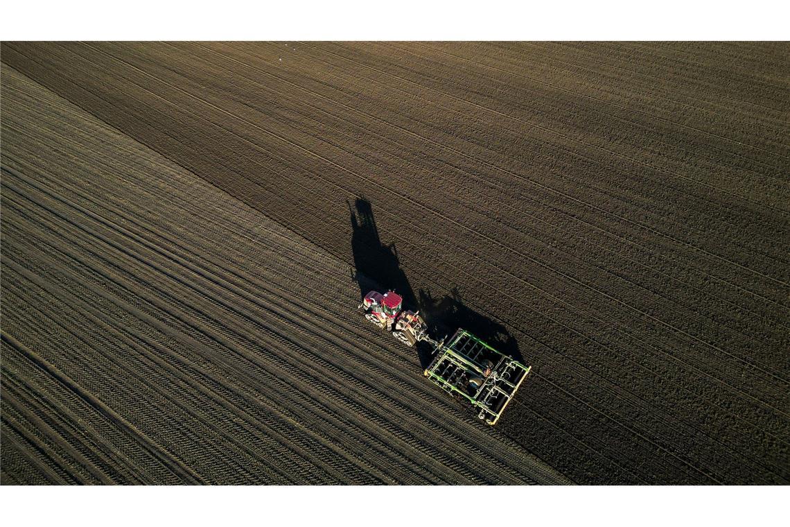 Die Bauern befürchten schwierige Geschäftsbedingungen 2026. (Archivbild)