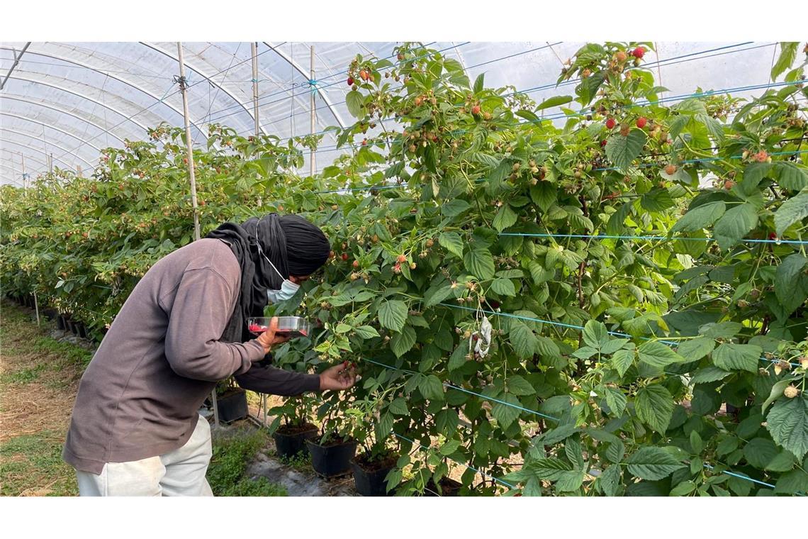 Die befreiten Migranten wurden laut Polizei oft geschlagen.