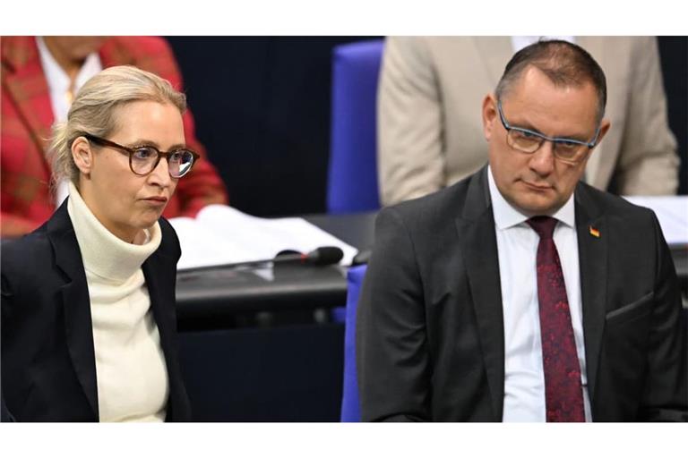 Die beiden AfD-Chefs Alice Weidel und Tino Chrupalla sehen in dem Hackerangriff auf ihre Partei einen Angriff auf das deutsche Parteiensystem.