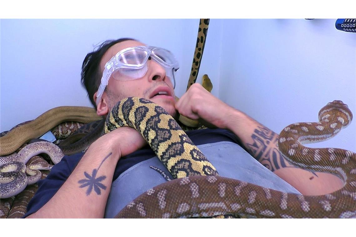 Edith und der Fluch der Pythons Die beiden müssen Zahlenschlösser öffnen, während sie von Pythons „überschlängelt“ werden.