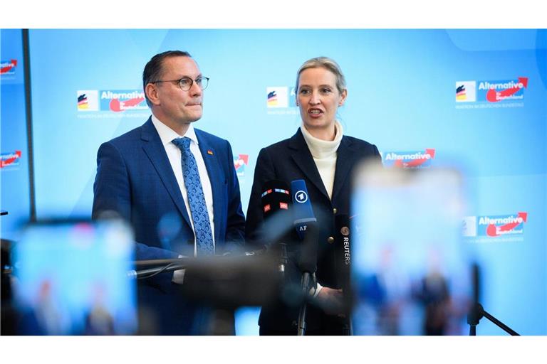 Die beiden Vorsitzenden der AfD, Alice Weidel und Tino Chrupalla (Archivbild)