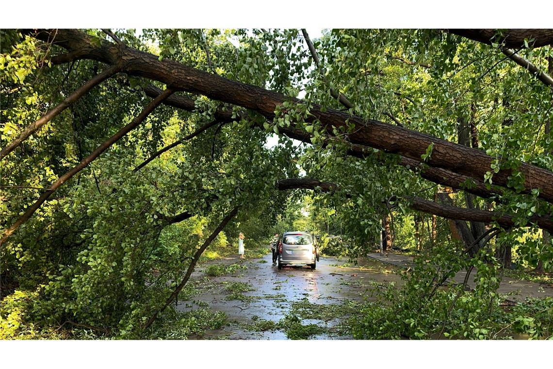 Unwetter ziehen über Teile Deutschlands Die Berliner Feuerwehr war im Dauereinsatz.