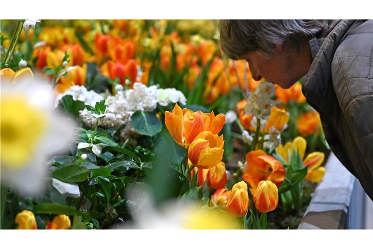 Die Besucherzahl auf der diesjährigen Woche übertraf die Erwartungen deutlich. (Archivbild)