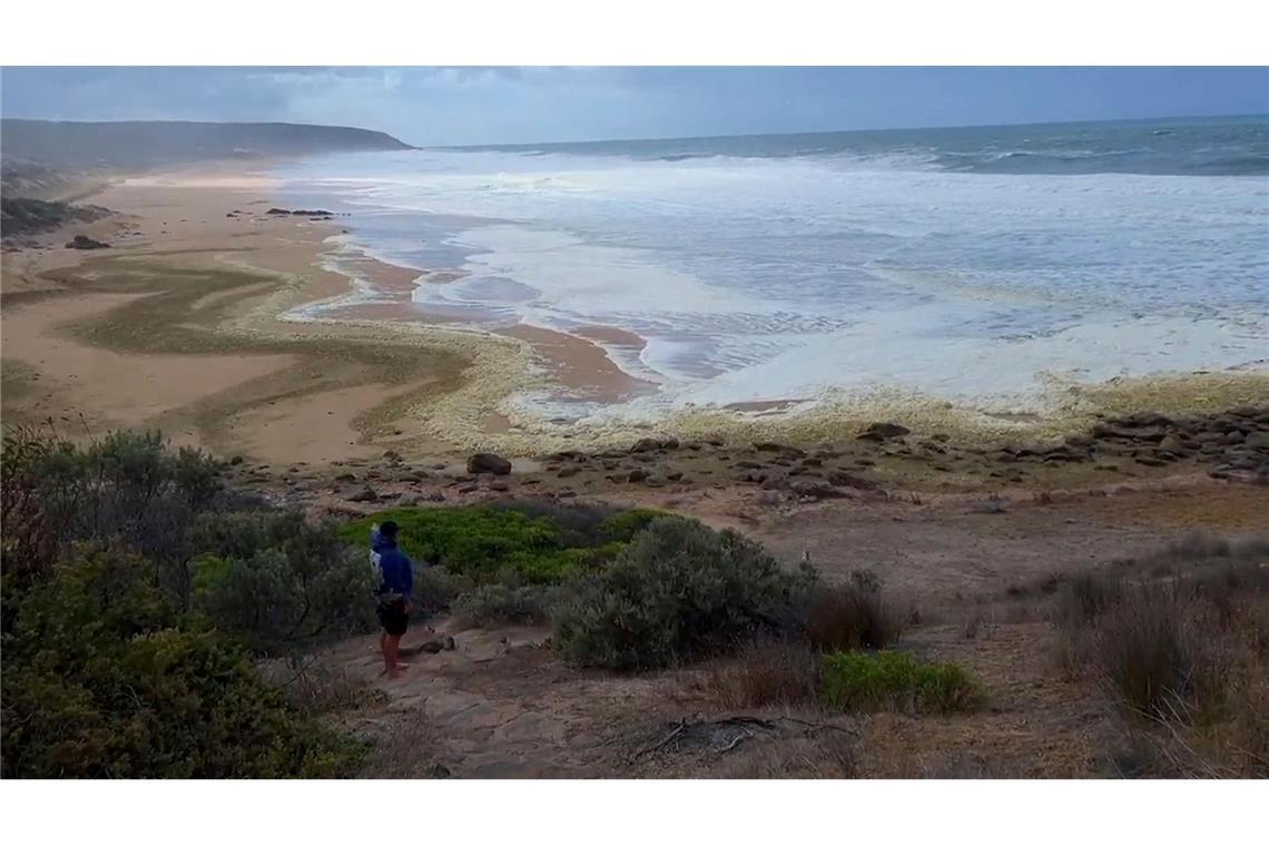 Gelber Schaum und kranke Surfer: Algenblüte in Australien? Die betroffenen Strände wurden zunächst gesperrt.