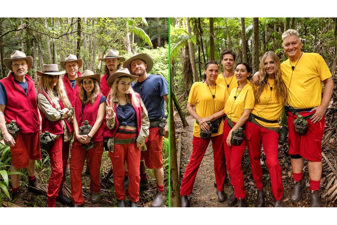 Die Bewohner des Dschungelcamps wohnen seit dem zweiten Tag alle zusammen.