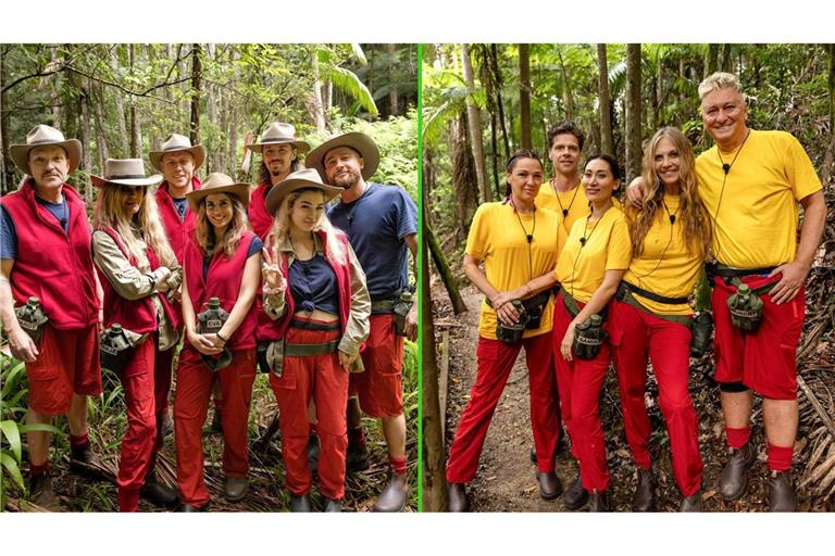 Die Bewohner des Dschungelcamps wohnen seit dem zweiten Tag alle zusammen.