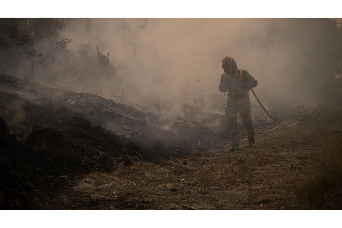 Die Brandbekämpfer am Boden sind Tag und Nacht im Einsatz gegen die Flammen in Portugal. Tagsüber werden sie von Löschflugzeugen und -hubschraubern unterstützt.