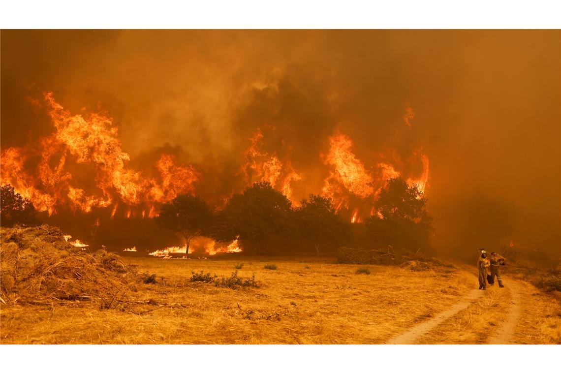 Die Brandbekämpfer sehen sich teilweise mit riesigen Feuerwänden konfrontiert, die durch stürmische Winde jederzeit schnell die Richtung ändern können.