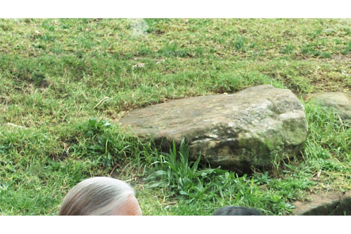 "Schimpansen-Mama" Jane Goodall ist tot Die britische Ethnologin Jane Goodall traf sich mit Schimpansen im Taronga Zoo. (Archivbild)