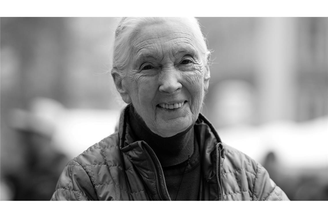 Britische Schimpansen-Forscherin Jane Goodall tot Die britische Schimpansen-Forscherin und Umwelt-Aktivistin Jane Goodall ist tot.