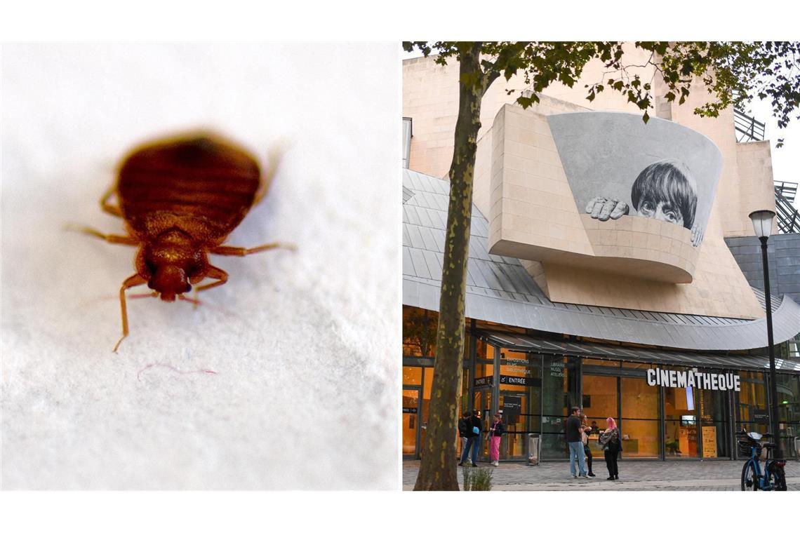 Die Cinémathèque française muss ihre Kinosäle wegen Bettwanzen schließen (Symbolbilder).
