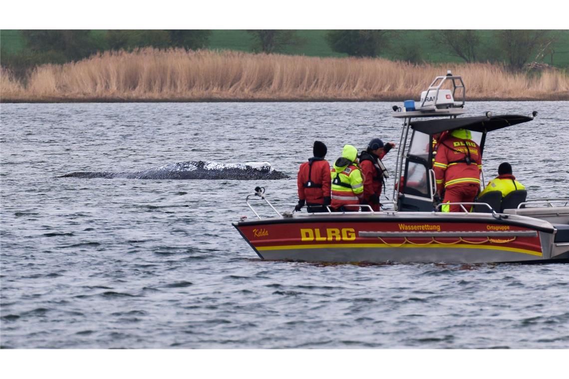 Die DLRG will am Mittwoch aus Kirchdorf auf Poel abziehen.