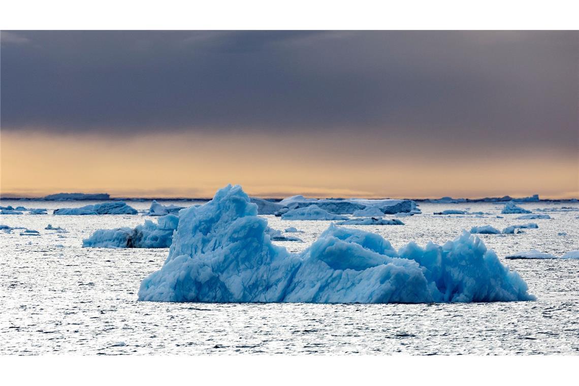 Die Dokumentation von Werner Herzog, in der der Pinguin vorkommt, ist aus dem Jahr 2007. (Archivfoto)