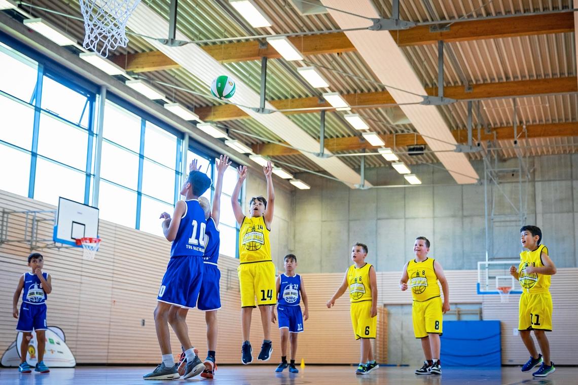 Backnanger Schüler begeistern sich für Basketball Die Dritt- und Viertklässler der Backnanger Plaisirschule und Schillerschule haben ihren Spaß am Basketballspiel. Foto: Alexander Becher