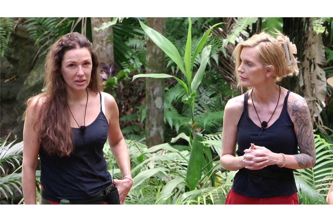 Die Dschungelfreundinnen Simone Ballack und Mirja du Mont werden getrennt.